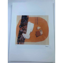 Picasso Lithograph off set 50x70 cm Museum edition