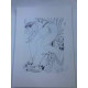 Picasso Litografia off-set 50x70 cm Museoko edizioa