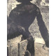Edgar Degas litho offset 50x70 cm