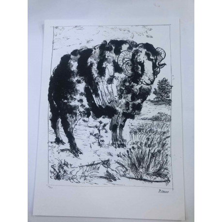 Picasso Lithograph off set 50x70 cm Museum edition
