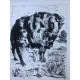 Picasso Lithograph off set 50x70 cm Museum edition