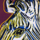 Andy Warhol Lithographie Offset 60x60 cm