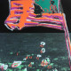 Andy Warhol Lithographie hors set 60x60 cm