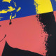 Andy Warhol Lithografie uit set 60x60 cm