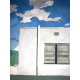 David Hockney  Litografia off set cm 50x70 certificata