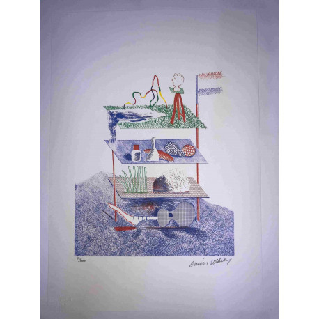 David Hockney  Litografia off set cm 50x70 certificata