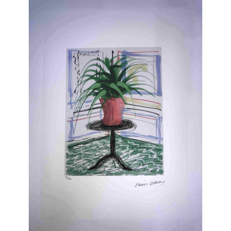 David Hockney  Litografia off set cm 50x70 certificata