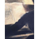 Edgar Degas lithograph off set 50x70 cm