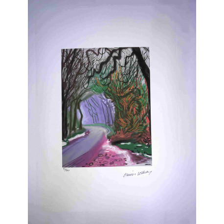 David Hockney  Litografia off set cm 50x70 certificata