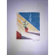 David Hockney  Litografia off set cm 50x70 certificata