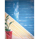 David Hockney  Litografia off set cm 50x70 certificata