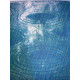David Hockney  Litografia off set cm 50x70 certificata