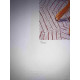 David Hockney  Litografia off set cm 50x70 certificata