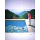 David Hockney  Litografia off set cm 50x70 certificata