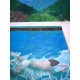 David Hockney  Litografia off set cm 50x70 certificata