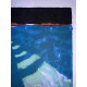 David Hockney  Litografia off set cm 50x70 certificata