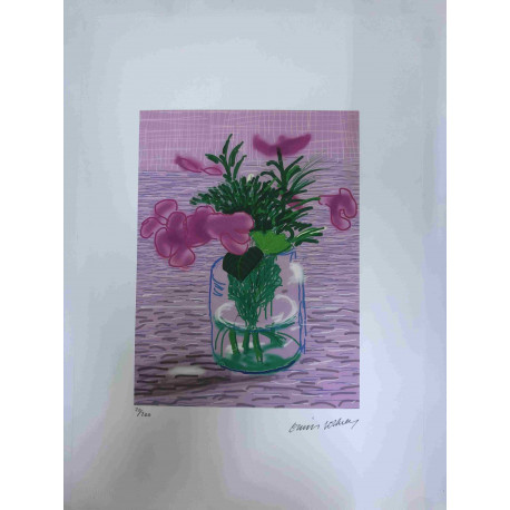 David Hockney  Litografia off set cm 50x70 certificata