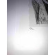 David Hockney  Litografia off set cm 50x70 certificata