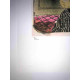 David Hockney  Litografia off set cm 50x70 certificata