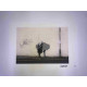 Zestaw offsetowy litografii Banksy'ego o wymiarach 50x35 cm z podpisem, wydanie POW
