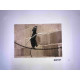 Zestaw offsetowy litografii Banksy'ego o wymiarach 50x35 cm z podpisem, wydanie POW