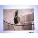 Zestaw offsetowy litografii Banksy'ego o wymiarach 50x35 cm z podpisem, wydanie POW