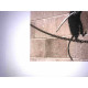Zestaw offsetowy litografii Banksy'ego o wymiarach 50x35 cm z podpisem, wydanie POW