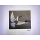 Zestaw offsetowy litografii Banksy'ego o wymiarach 50x35 cm z podpisem, wydanie POW