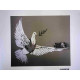 Zestaw offsetowy litografii Banksy'ego o wymiarach 50x35 cm z podpisem, wydanie POW