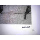 Zestaw offsetowy litografii Banksy'ego o wymiarach 50x35 cm z podpisem, wydanie POW