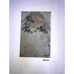 Zestaw offsetowy litografii Banksy'ego o wymiarach 50x35 cm z podpisem, wydanie POW