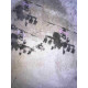 Zestaw offsetowy litografii Banksy'ego o wymiarach 50x35 cm z podpisem, wydanie POW