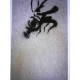 Zestaw offsetowy litografii Banksy'ego o wymiarach 50x35 cm z podpisem, wydanie POW