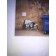 Zestaw offsetowy litografii Banksy'ego o wymiarach 50x35 cm z podpisem, wydanie POW
