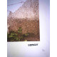 Zestaw offsetowy litografii Banksy'ego o wymiarach 50x35 cm z podpisem, wydanie POW