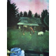 Marc Chagall litho op setformaat 50x70 cm