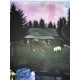 Marc Chagall litografia off set dimensiune 50x70 cm