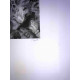 Marc Chagall lithographie hors set format 50x70 cm