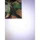 Litografía de Marc Chagall fuera del set tamaño 50x70 cm