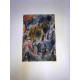 Marc Chagall-en litografia 50x70 cm
