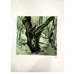 Edvard Munch lithograph off set 50x70 cm