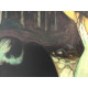 Edvard Munch lithograph off set 50x70 cm