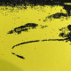 Litografia de Andy Warhol off set 60x60 cm