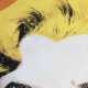 Andy Warhol Lithograph off set 60x60 cm