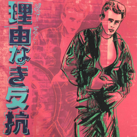 Litografía Andy Warhol off set 60x60 cm