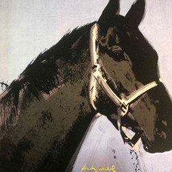 Andy Warhol Lithografie uit set 60x60 cm