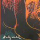 Litografia de Andy Warhol off set 60x60 cm