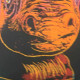 Litografia de Andy Warhol off set 60x60 cm