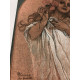 Setul off set litografie Alphonse Mucha 50x70 cm
