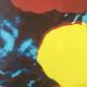 Andy Warhol Lithograph off set 60x60 cm